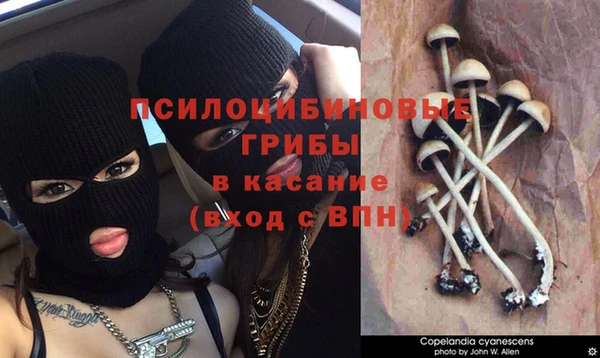 синтетический гашиш Аркадак